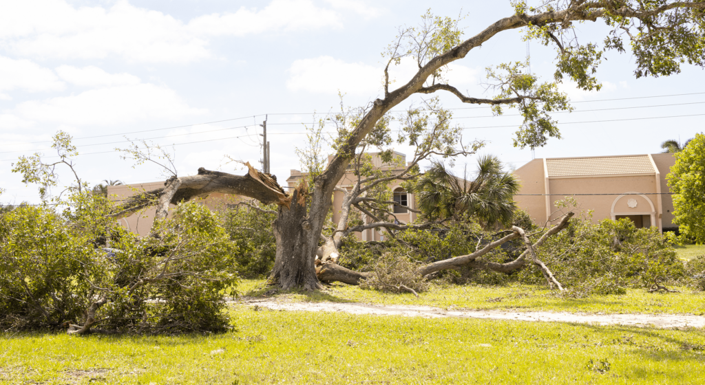 Florida Property Tax Relief for Hurricanes Cray Kaiser
